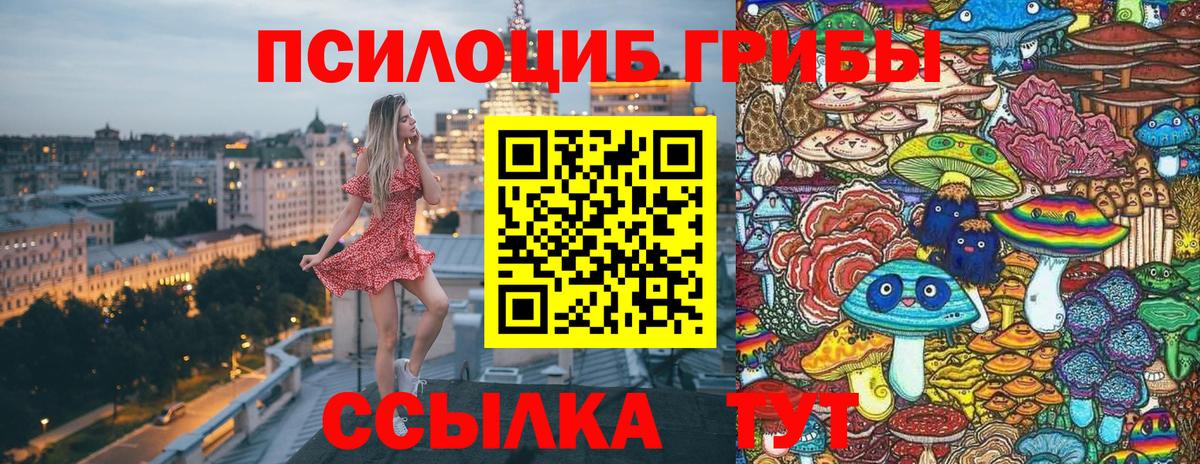 Дальнегорск  Галлюциногенные грибы Magic Shrooms  Галлюциногенные грибы ЛСД  Вход с VPN 